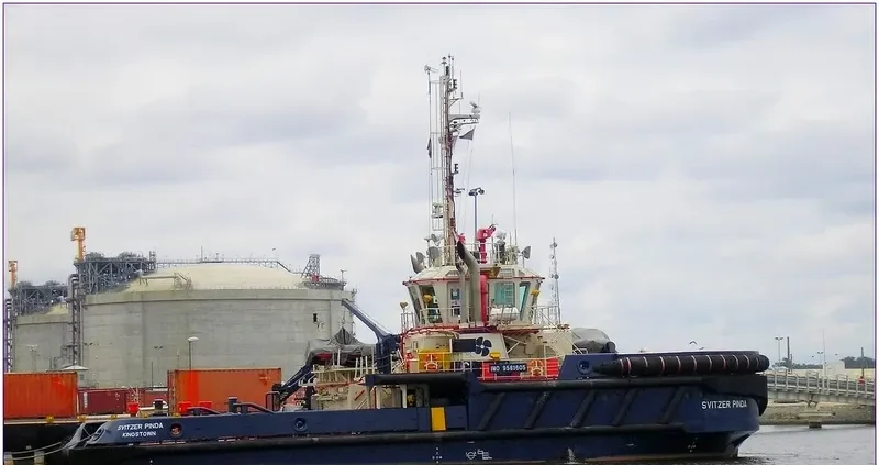 SVITZER PINDA General Cargo IMO 9581605 photo 6
