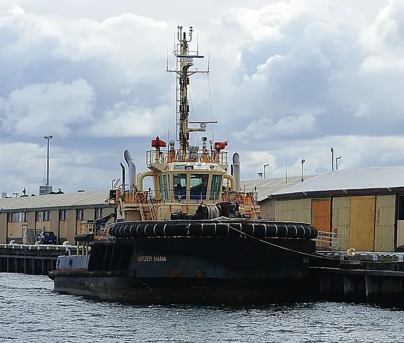 SVITZER NANA General Cargo IMO 9581643 photo 8