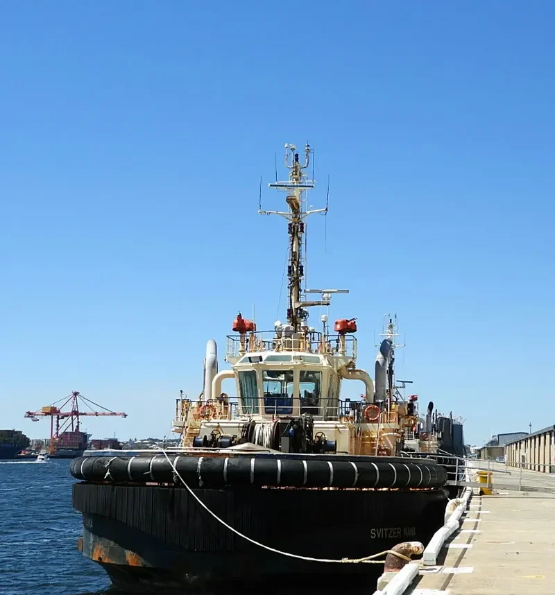 SVITZER NANA General Cargo IMO 9581643 photo 10