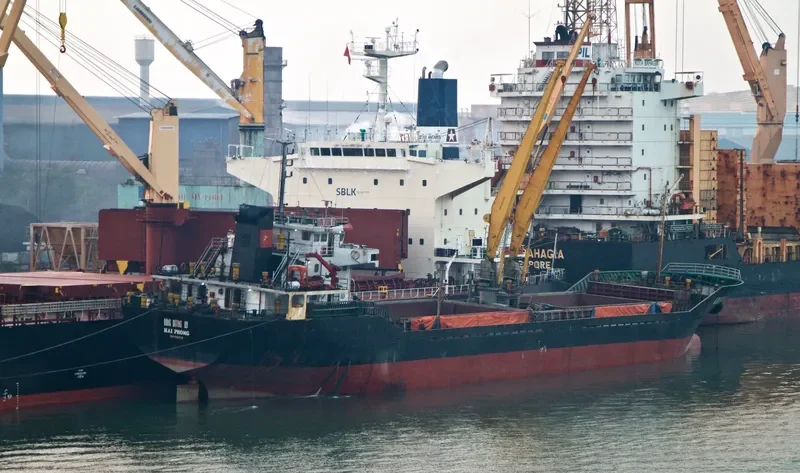 DONG DUONG 09 General Cargo IMO 9581722 photo 2