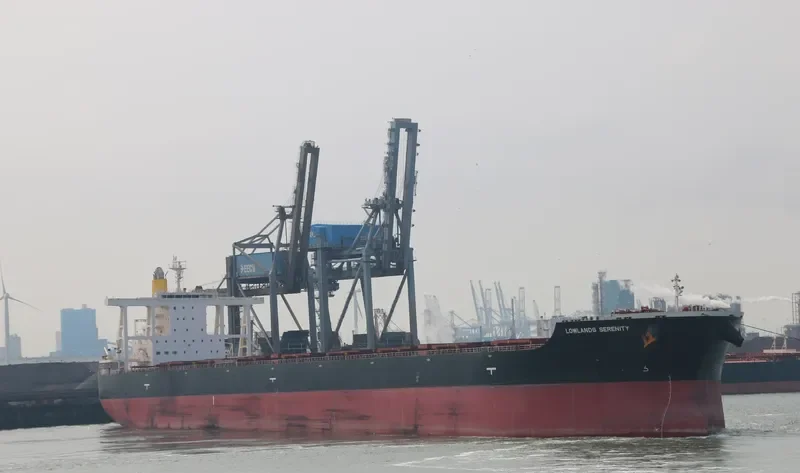 LOWLANDS SERENITY Bulk Carrier IMO 9581758 photo 3