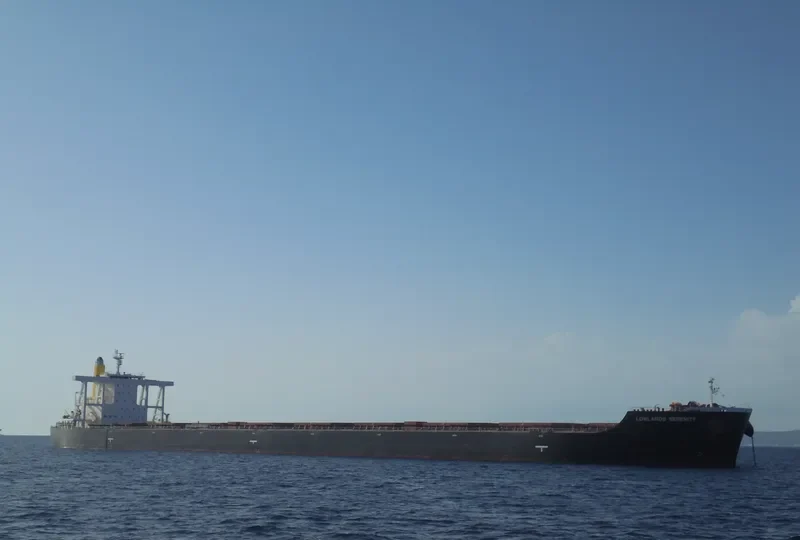 LOWLANDS SERENITY Bulk Carrier IMO 9581758 photo 4