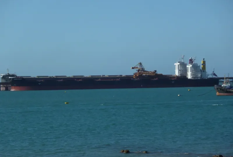 LOWLANDS SERENITY Bulk Carrier IMO 9581758 photo 6