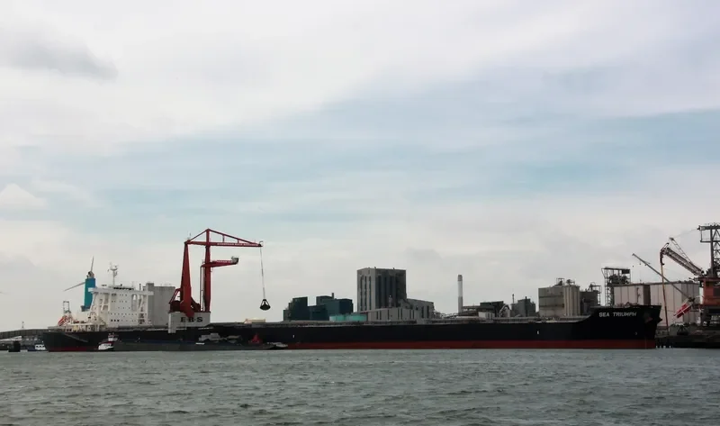 SEA TRIUMPH Bulk Carrier IMO 9581760 photo 3