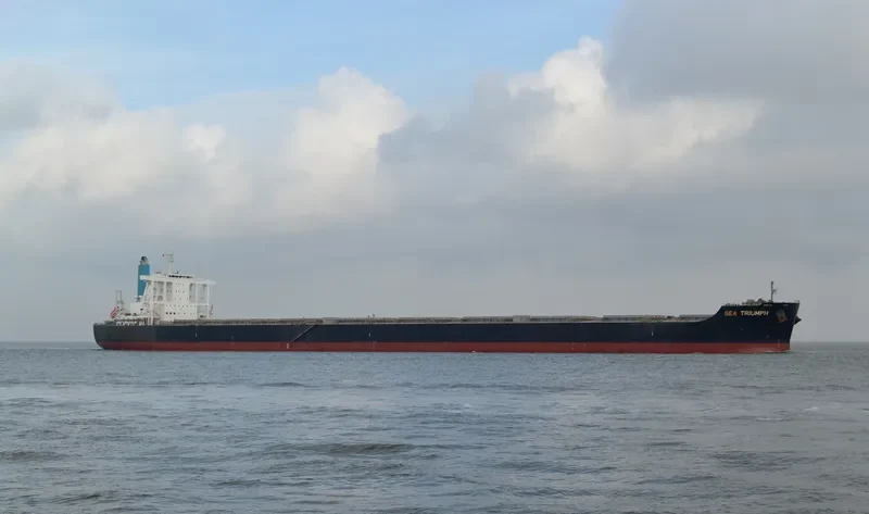 SEA TRIUMPH Bulk Carrier IMO 9581760 photo 5