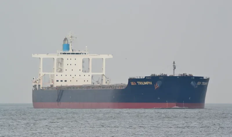 SEA TRIUMPH Bulk Carrier IMO 9581760 photo 6