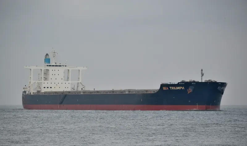 SEA TRIUMPH Bulk Carrier IMO 9581760 photo 7