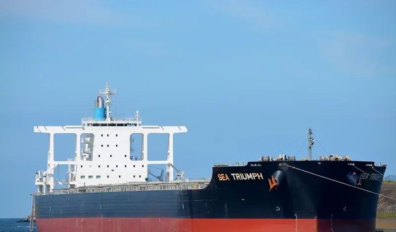 SEA TRIUMPH Bulk Carrier IMO 9581760 photo 9