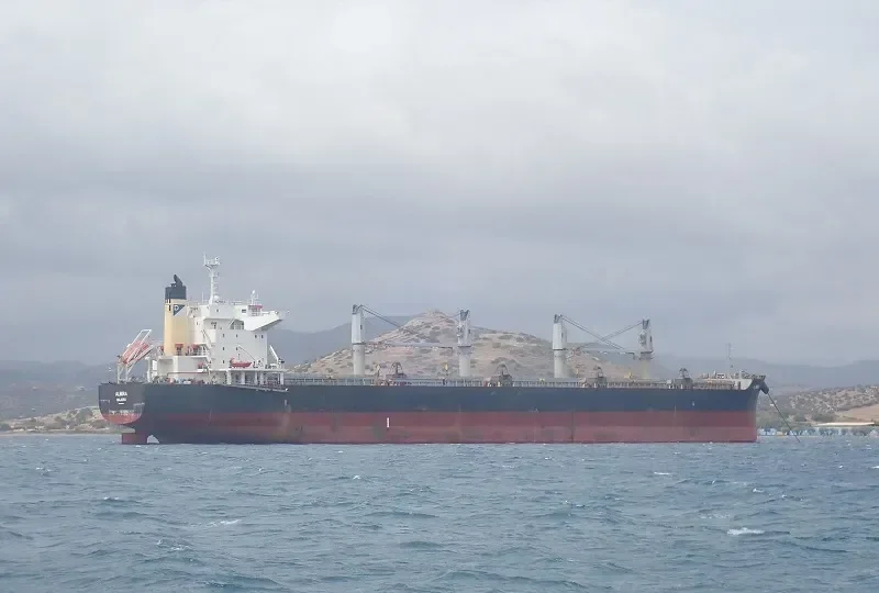 ALMIRA Bulk Carrier IMO 9581784 photo 7