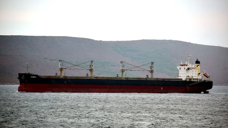 ALMIRA Bulk Carrier IMO 9581784 photo 9