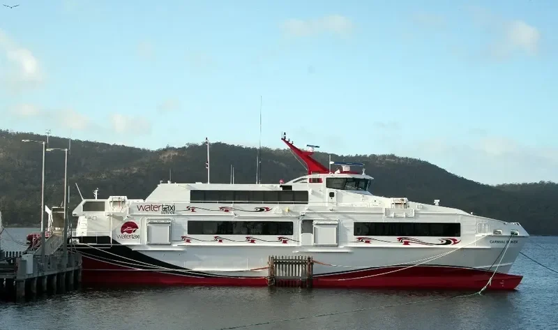 CARNIVAL RUNNER Passenger Ship IMO 9582142 photo 2