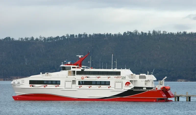 CARNIVAL RUNNER Passenger Ship IMO 9582142 photo 4
