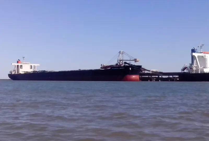 PILBARA MARU Bulk Carrier IMO 9582257 photo 2