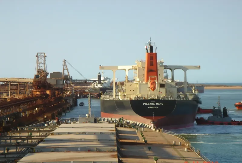 PILBARA MARU Bulk Carrier IMO 9582257 photo 3