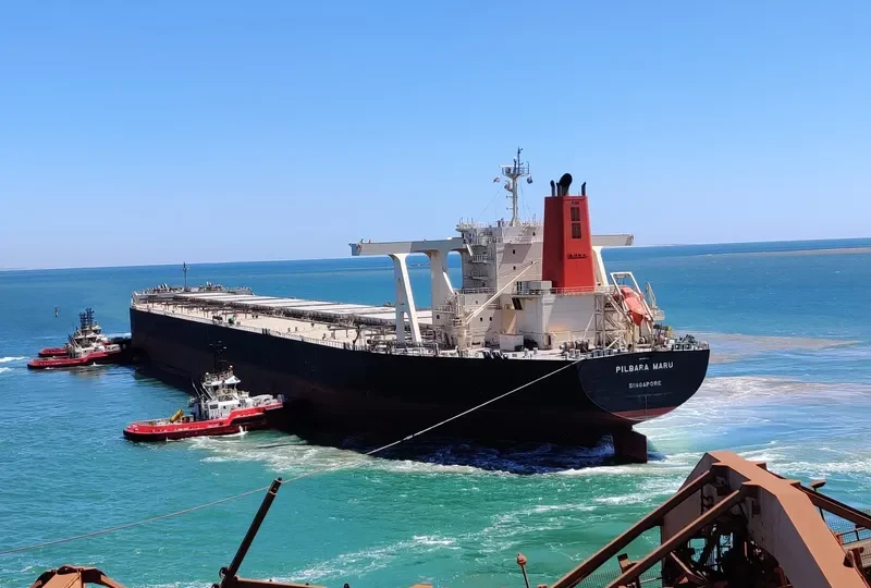 PILBARA MARU Bulk Carrier IMO 9582257 photo 8