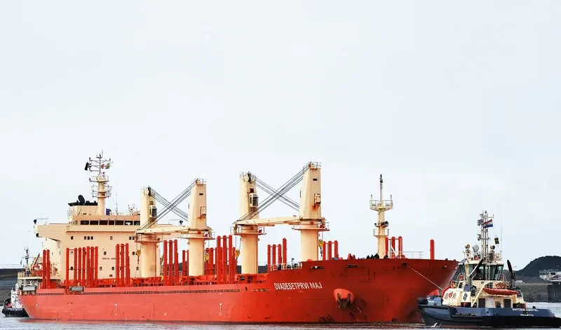 DVADESETPRVI MAJ Bulk Carrier IMO 9582427