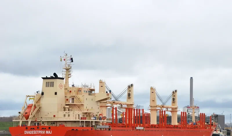 DVADESETPRVI MAJ Bulk Carrier IMO 9582427 photo 2