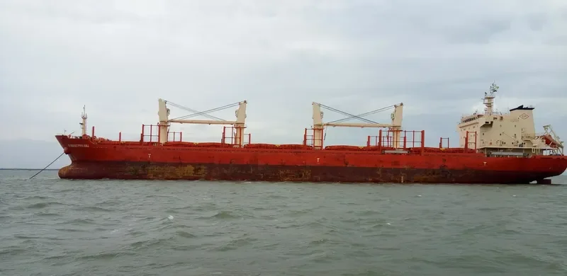 DVADESETPRVI MAJ Bulk Carrier IMO 9582427 photo 3