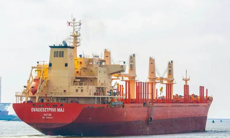 DVADESETPRVI MAJ Bulk Carrier IMO 9582427 photo 4