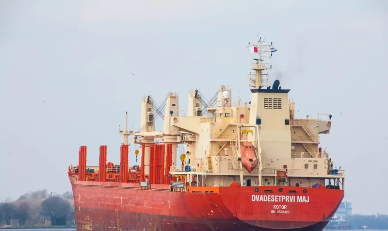 DVADESETPRVI MAJ Bulk Carrier IMO 9582427 photo 6