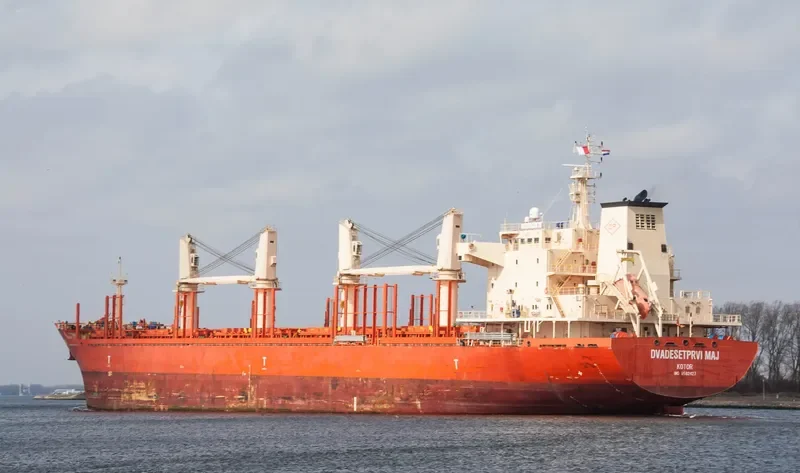 DVADESETPRVI MAJ Bulk Carrier IMO 9582427 photo 7