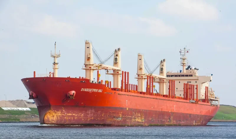 DVADESETPRVI MAJ Bulk Carrier IMO 9582427 photo 8