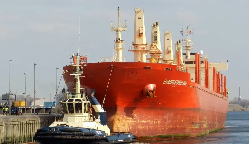 DVADESETPRVI MAJ Bulk Carrier IMO 9582427 photo 9
