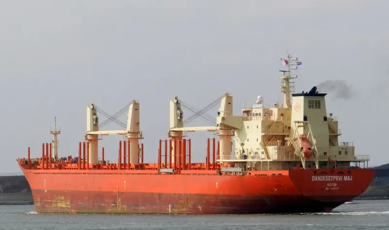DVADESETPRVI MAJ Bulk Carrier IMO 9582427 photo 10