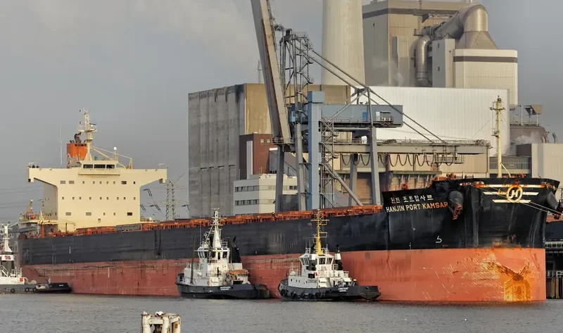 PAN BICORN Bulk Carrier IMO 9582441