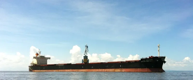 PAN BICORN Bulk Carrier IMO 9582441 photo 2