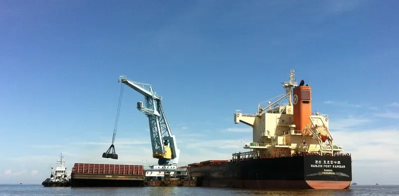 PAN BICORN Bulk Carrier IMO 9582441 photo 4