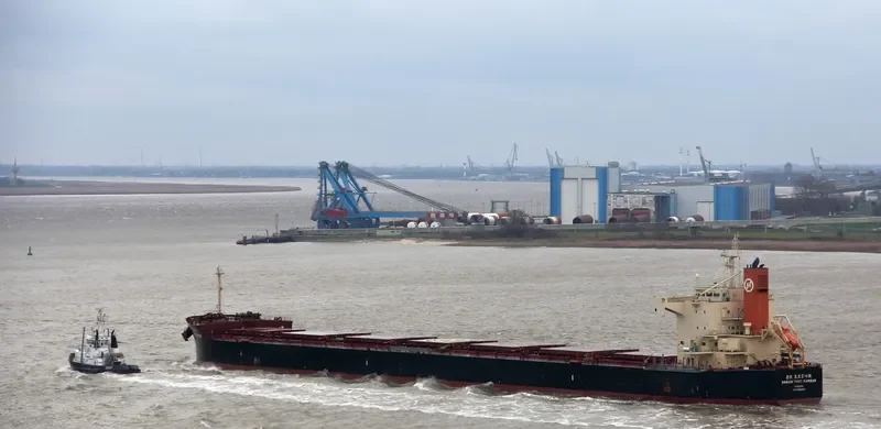PAN BICORN Bulk Carrier IMO 9582441 photo 6