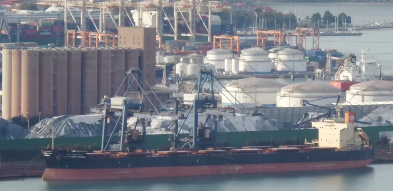 PAN BICORN Bulk Carrier IMO 9582441 photo 9