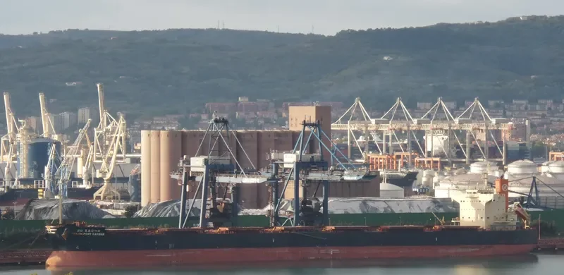 PAN BICORN Bulk Carrier IMO 9582441 photo 10