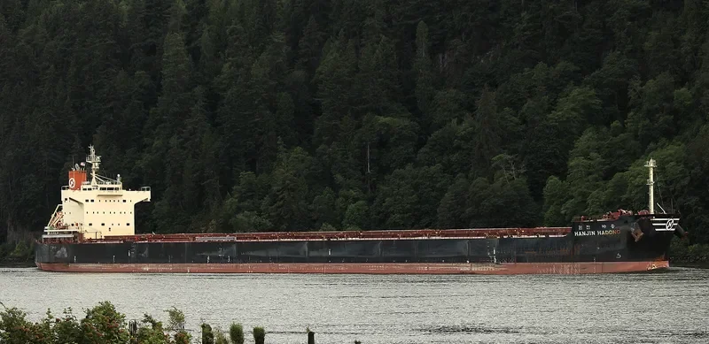 STAR ASTRID Bulk Carrier IMO 9582453 photo 3