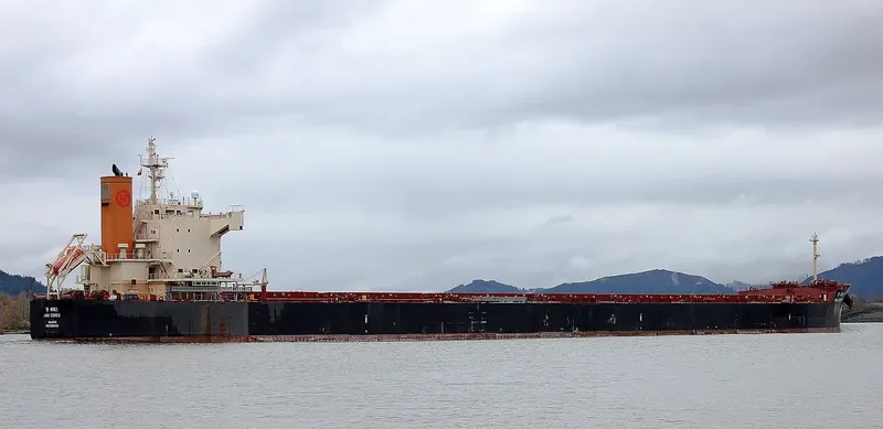 PAN CERES Bulk Carrier IMO 9582465