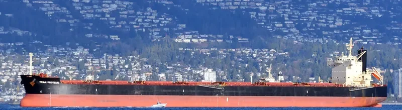 MAGIC PERSEUS Bulk Carrier IMO 9582477 photo 2