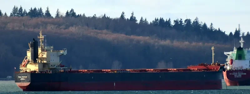MAGIC PERSEUS Bulk Carrier IMO 9582477 photo 4