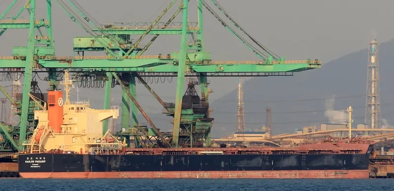 MAGIC PERSEUS Bulk Carrier IMO 9582477 photo 5