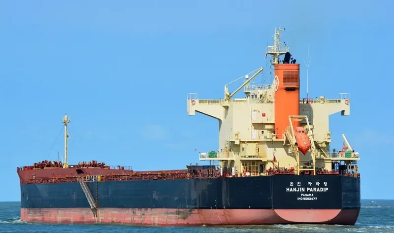 MAGIC PERSEUS Bulk Carrier IMO 9582477 photo 7