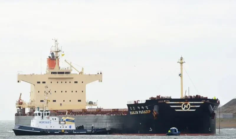 MAGIC PERSEUS Bulk Carrier IMO 9582477 photo 9