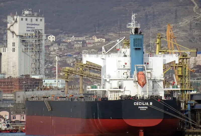 BULL Bulk Carrier IMO 9582489