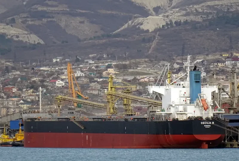 BULL Bulk Carrier IMO 9582489 photo 2
