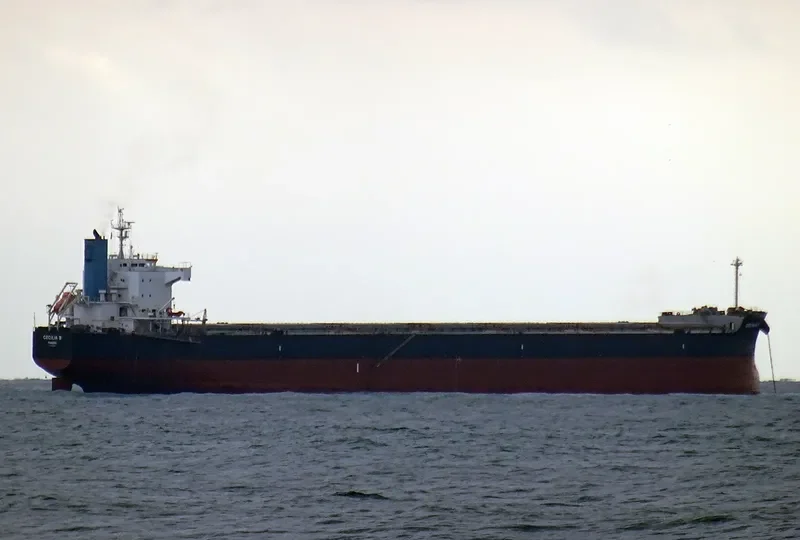 BULL Bulk Carrier IMO 9582489 photo 3