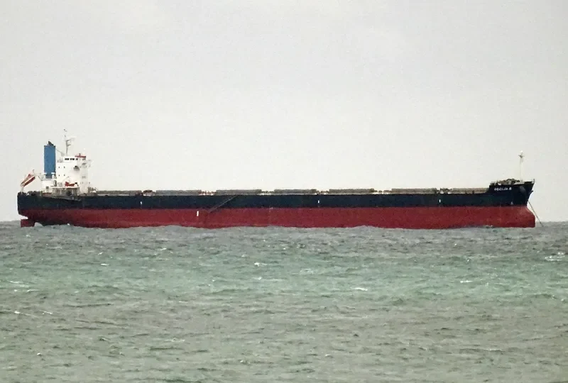 BULL Bulk Carrier IMO 9582489 photo 4