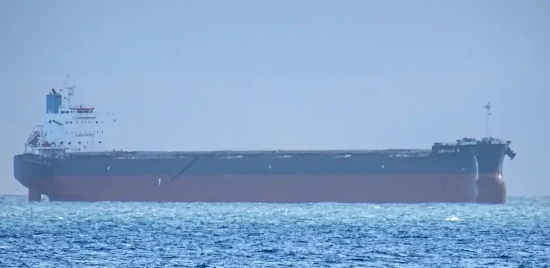 BULL Bulk Carrier IMO 9582489 photo 5