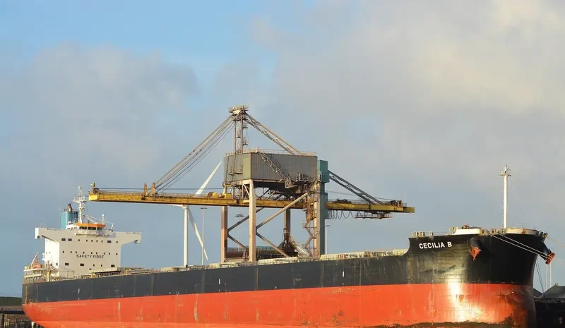 BULL Bulk Carrier IMO 9582489 photo 7