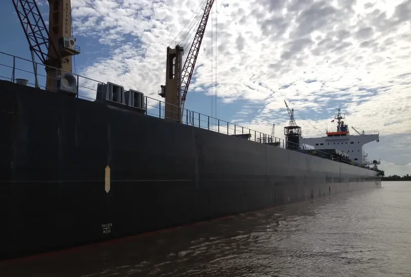 BULL Bulk Carrier IMO 9582489 photo 9
