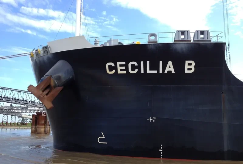 BULL Bulk Carrier IMO 9582489 photo 10