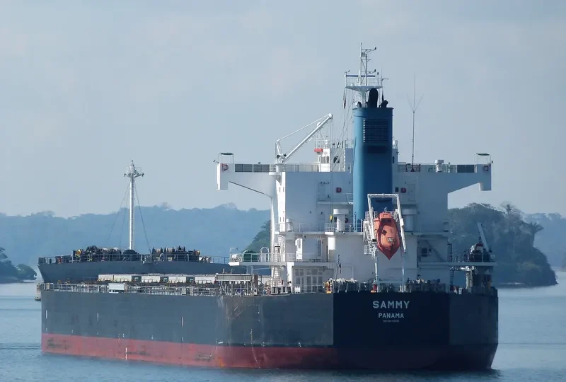 SAMMY Bulk Carrier IMO 9582491 photo 2